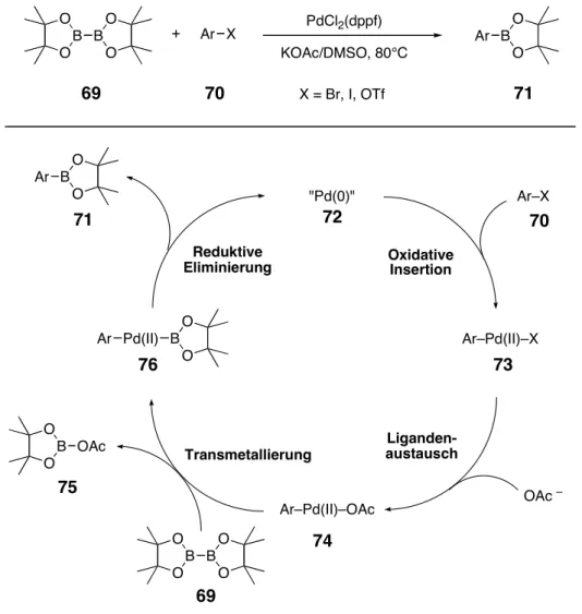 Abb. 23:  Mechanismus der Miyaura-Borylierung. 