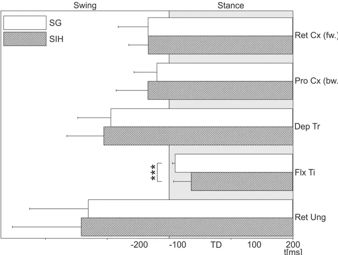 Fig. 2.8: Schematic comparing activation latencies for the different stance muscles during