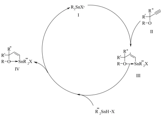 Abb. 10.1.5: Mechanismus der radikalische Reaktion von Alkinylethern mit Dialkylzinn- Dialkylzinn-hydridhalogeniden