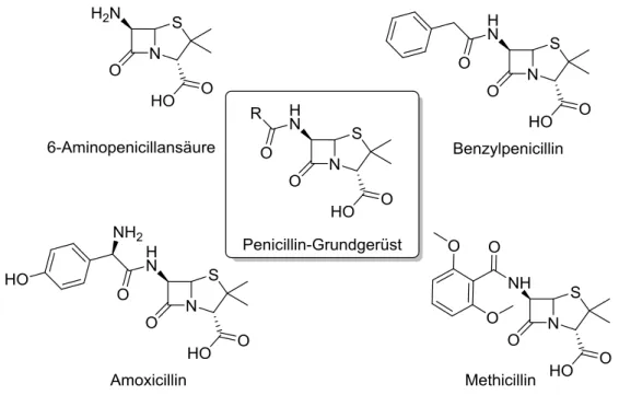 Abbildung 5: Grundstruktur der Penicilline (Mitte). Ebenso sind die Antibiotika Benzylpenicillin  (Penicillin  G),  Amoxicillin  und  Methicillin  sowie  die  nicht  antimikrobielle   6-Aminopenicillansäure aufgeführt