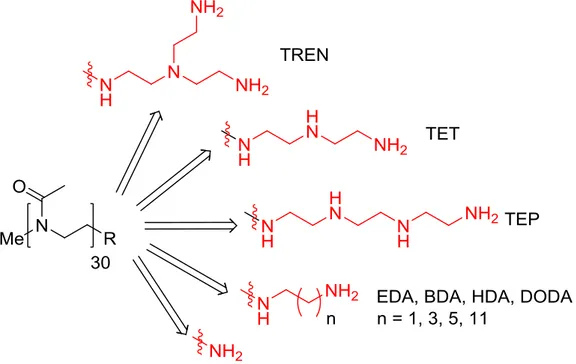 Abbildung  30:  Überblick  über  die  verwendeten  Endgruppen,  1,4-Butylendiamin  (BDA),  1,6- 1,6-Hexylendiamin  (HDA),  1,12-Dodecylenamin  (DODA),  N,N-Bis(2-Aminoethyl)ethylendiamin  (TREN), Triethylentetramin (TET) und Tetraethylenpentamin (TEP)