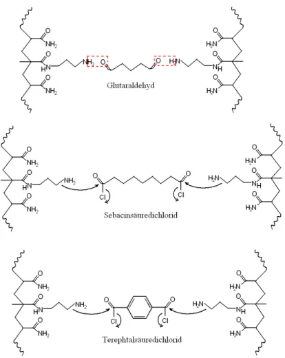 Abb. 20:  Reaktionsschema  der  Vernetzungsreaktion  von  linearem  Polyacrylamid  mit  bifunktionellen Aldehyden und Säurechloriden