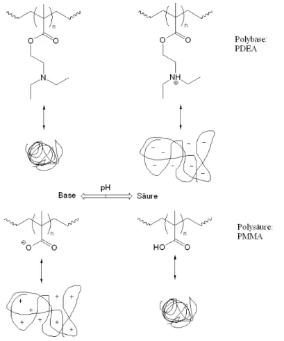 Abb. 26:  Formänderung der Polybase PDEA und der Polysäure PMMA bei pH-Änderungen.  