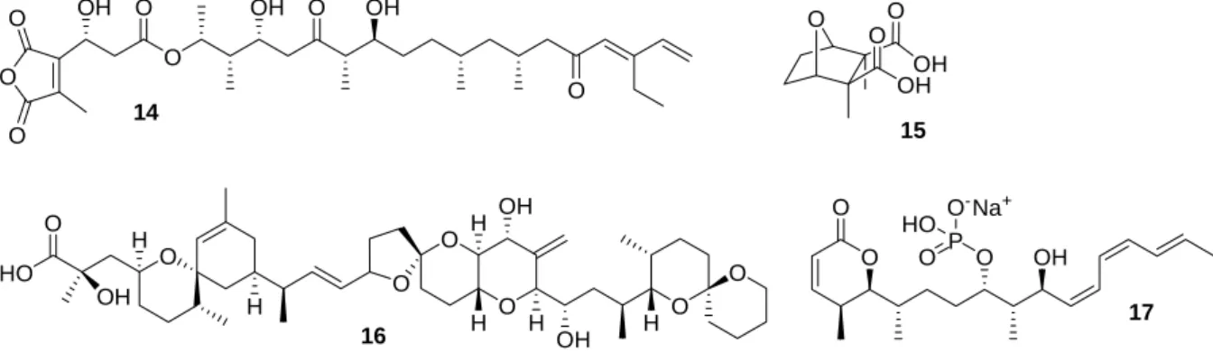 Abbildung 9: Inhibitoren für PP1 und PP2A. 