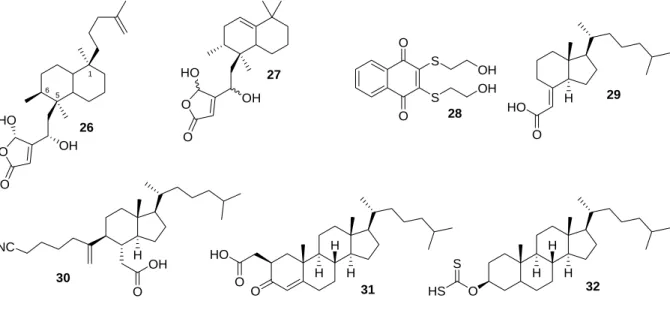 Abbildung 12: Inhibitoren für Cdc25-Phosphatasen. 