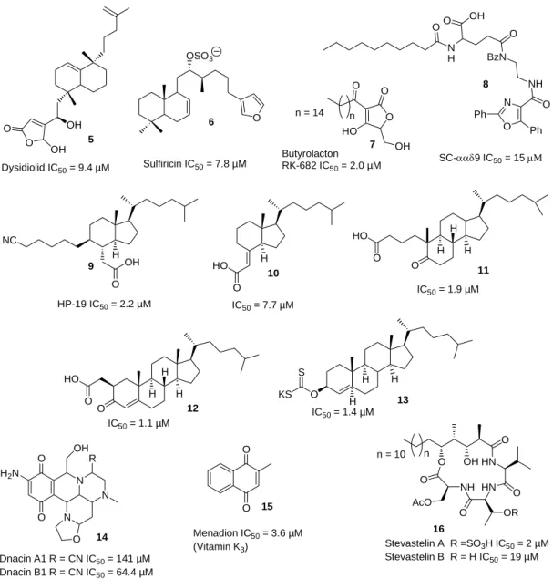 Abbildung 6: Inhibitoren der Cdc25- (5 bis 15) und der VHR Phosphatase (16). 