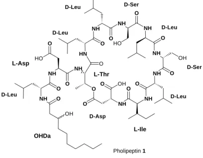 Abbildung 10: Das Depsipeptid Pholipeptin 1 