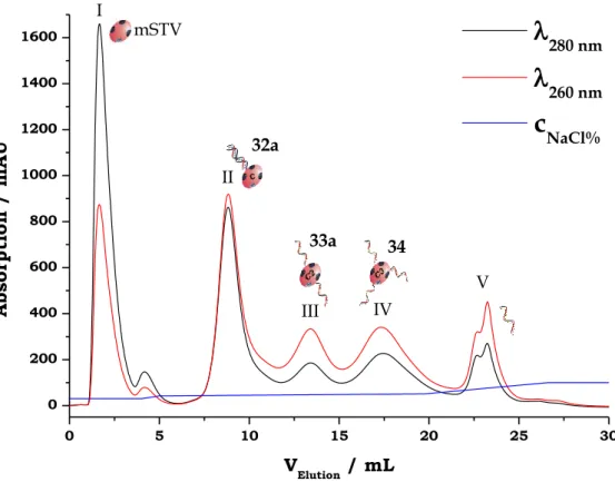 Abbildung 2.24:  Repräsentatives  Anionenaustauschchromatogramm  der  Aufreinigung  von  SM(PEG) 4   verknüpften  F9-mSTV-Konjugat