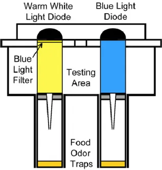 Figure 7: Optogenetic site attraction setup.  