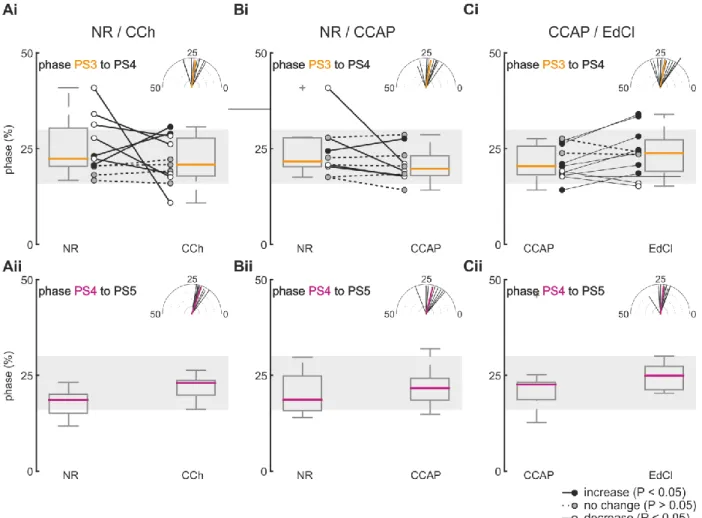 Figure 11: Segment to segment phase on-sets. Ai + Aii: Phase on-sets of PS3 with PS4 as reference (Ai)  and phase on-sets of PS4 with PS5 as reference (Aii) measured during bath application of NR and CCh