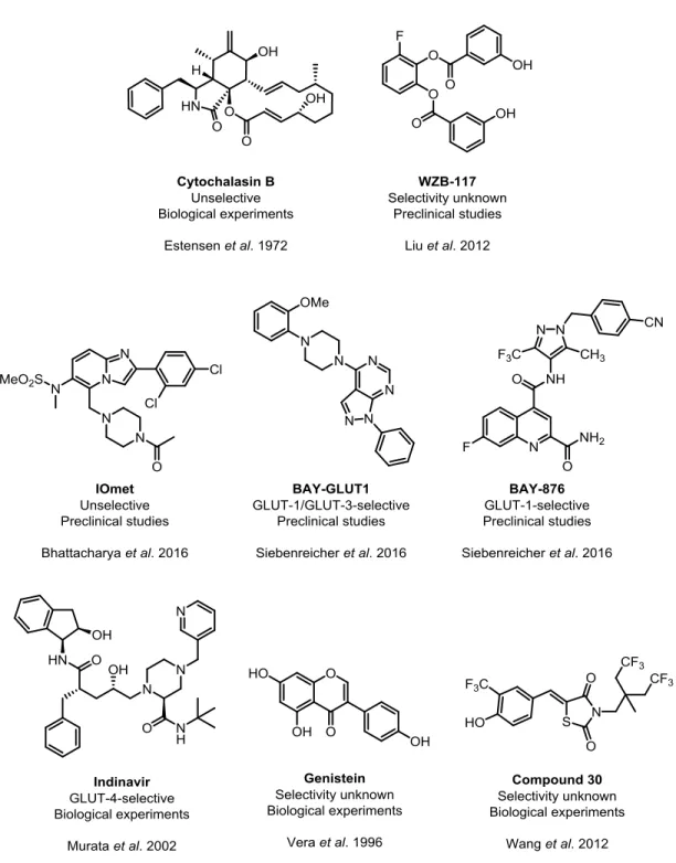 Figure 7 Selection of small molecule GLUT inhibitors. The potencies of all depicted compounds can be found in  Table 2