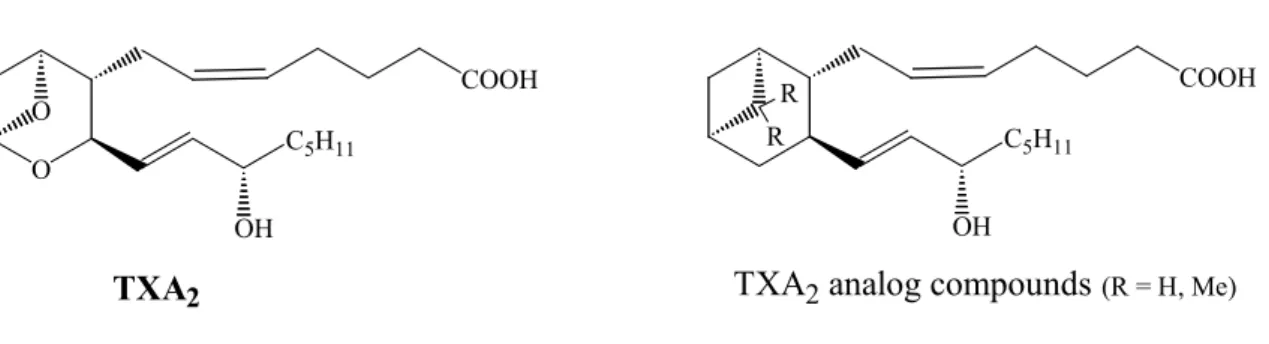 Figure 4: Tromboxane A 2  (TXA 2 ) molecular structure and its analog compounds 