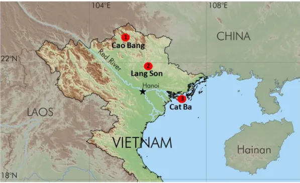 FIGURE 4. The study sites (marked with red dots) in the north-eastern part of Vietnam: 1)  Cao Bang; 2) Lang Son; and 3) Cat Ba