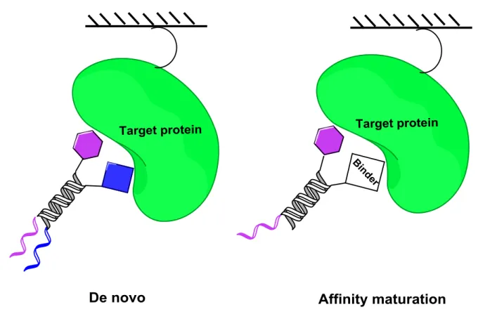 Figure I-10: De novo selection against a target protein results after hybridization of two DNA-encoded sub- sub-libraries