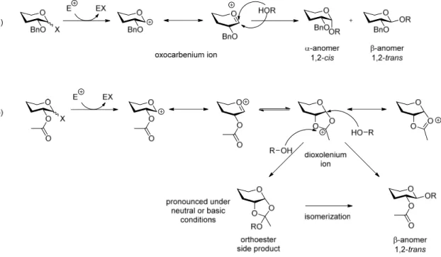 Figure  14:  Influence  of protection group  at  C‐2.  a) A  nonparticipating group  like ethers  or  azides  has  no effect  on the  stereochemical  outcome of a  glycosylation reaction and anomeric effect have major influence on stereoselectivity. b) A  