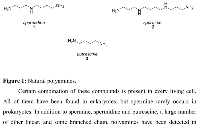 Figure 1: Natural polyamines. 