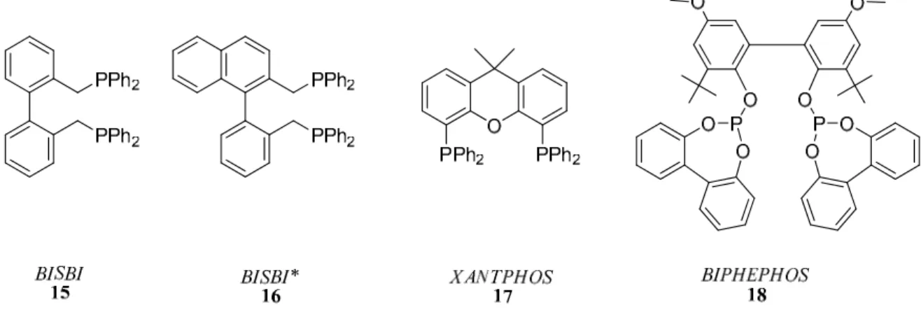 Figure 7: BISBI, BISBI*, XANTPHOS and BIPHEPHOS bidentate ligands. 