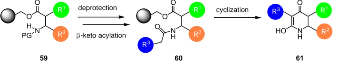 Figure 16: Structure of quinoline-3-carboxamide core 62 and representative natural products  Linomide (63) and Militarinone D (64)