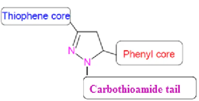 Figure 1: Design of thiophene based pyrazoline 