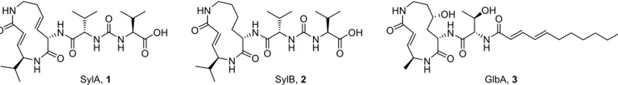 Abbildung 24. Die chemischen Strukturen dreier Mitglieder der Syrbactin-Naturwirkstofffamilie: 