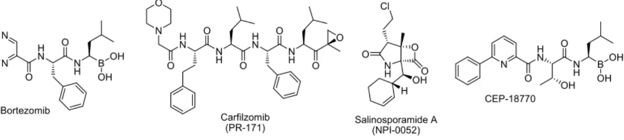 Figure 3. Chemical structure of the marketed proteasome inhibitor Bortezomib and of the proteasome  inhibitors currently evaluated in clinical trials.