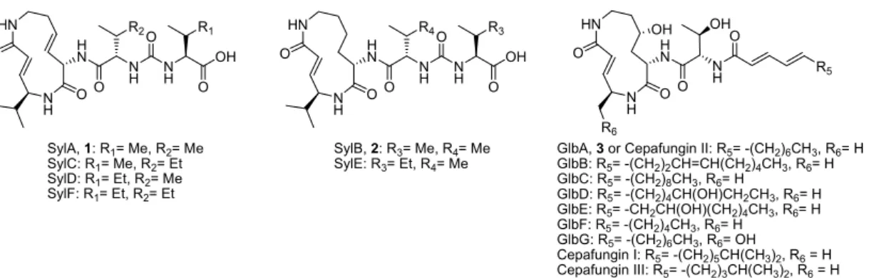Figure 5. Chemical structures of the major metabolite syringolin A of the syringolin family and the  additional minor metabolites produced by Pss