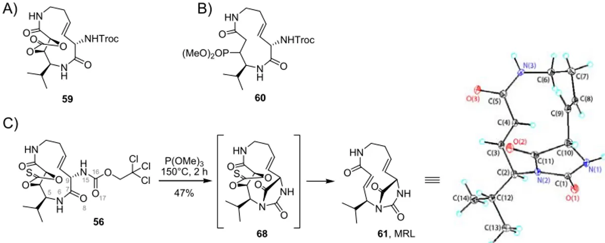 Figure 9. Structures of side-products 59, 60 and 61. A) carbonate side-product 59; B) phosphonate side- side-product 60; C) Synthesis and X-ray structure of the bicyclic side-side-product 61 (MRL)