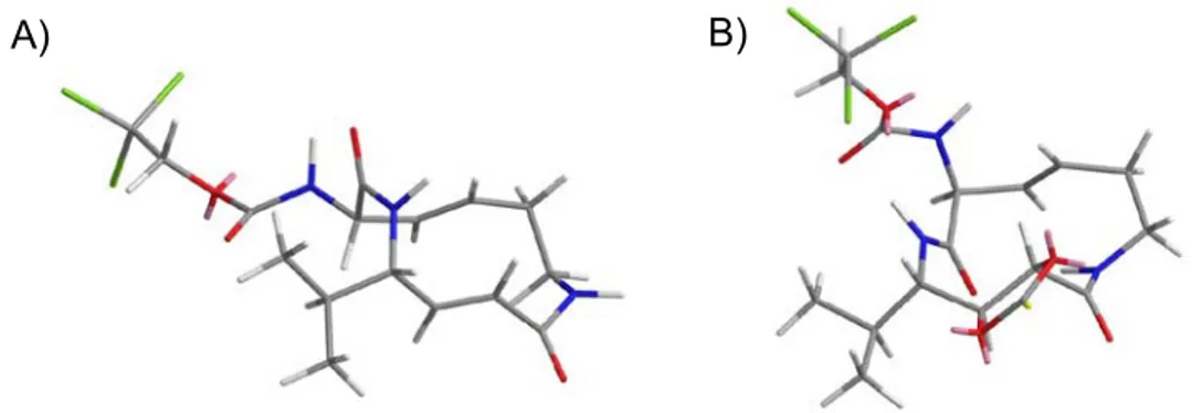 Figure 10. MM2 structure minimizations. A) compound 57 featuring two cis amide bonds; B) in  contrast, compound 56 contains one cis and one trans amide bond