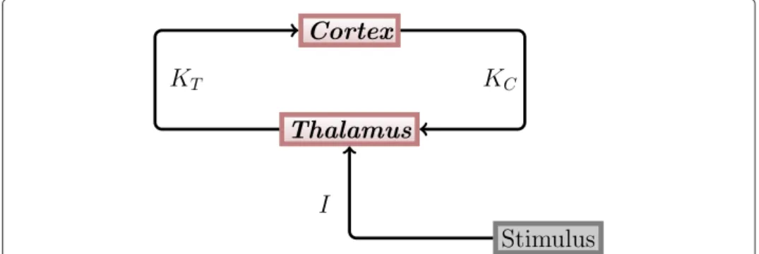 Figure 2 Thalamo-cortical loop. The general structure of the thalamo-cortical loop used in our modeling study