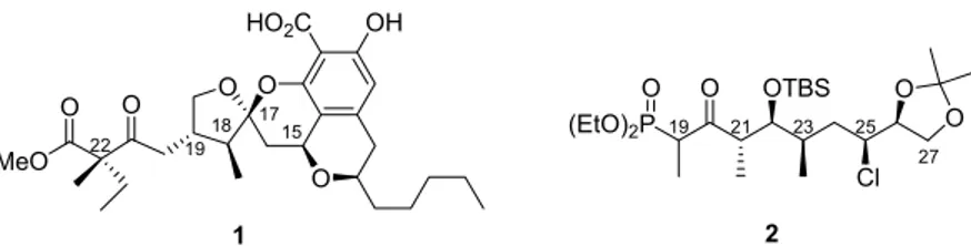 Figure 1: Berkelic acid (1) and C19−C27 fragment of lytophilippine A 2. 