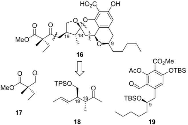Figure 3: Originally proposed berkelic acid structure and retrosynthetic analysis. 