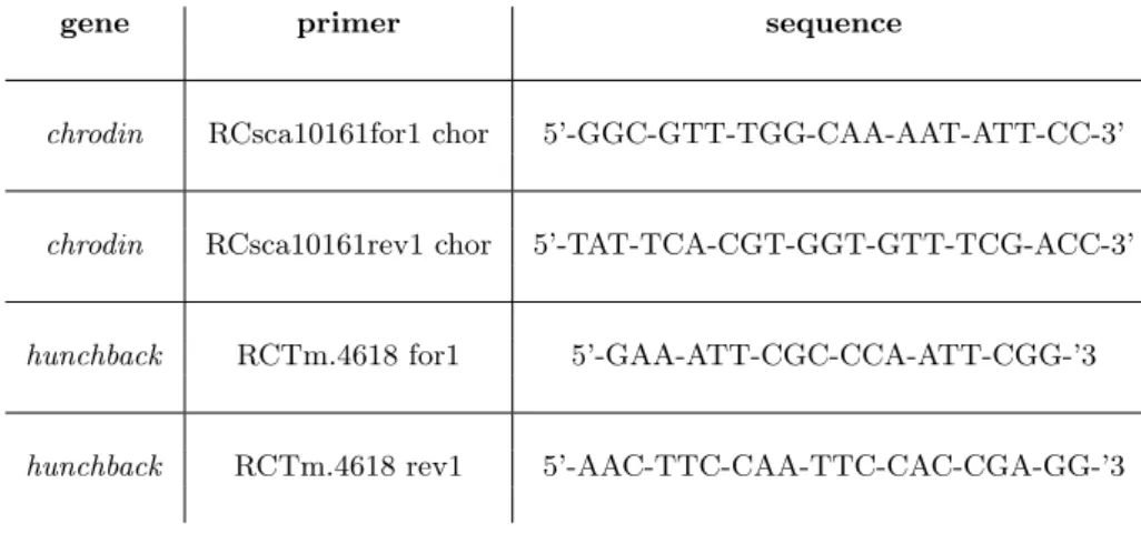 Table 2.8: Primers used for amplification of the orthologues for R. culicivorax chrodin and hunchback.