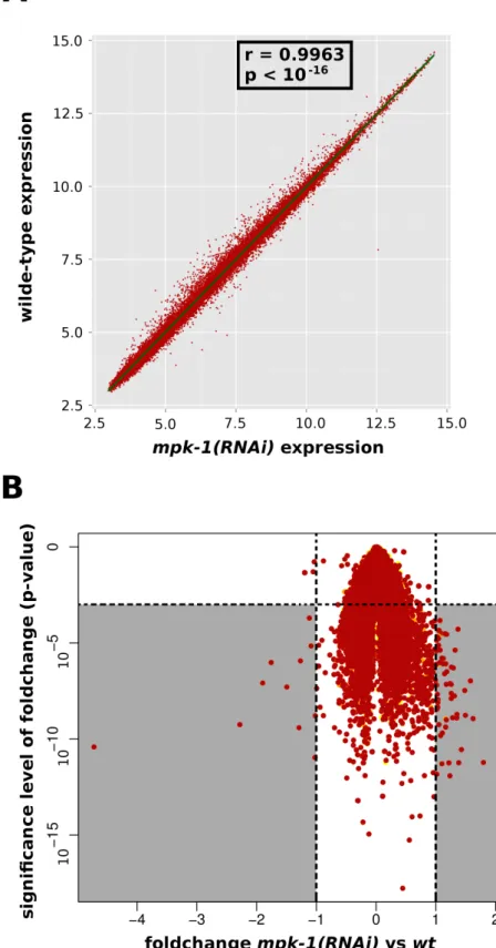 Figure 3.4: (A) Expression of mpk-1(RNAi) versus wild-type. Both expression values are positively correlated to each other (represented by green regression line; Pearson’s r