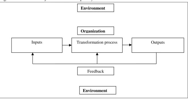 Figure 5: How school functions as an open system  