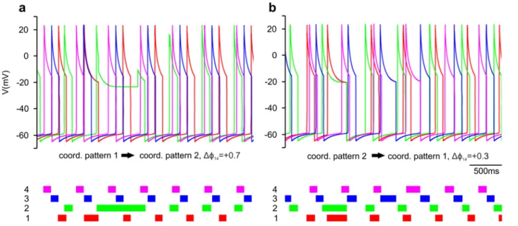 Fig. 5 Transitions between coordination pattern 1 and 2. a: Transition from coordination pattern 1 to coordination pattern 2