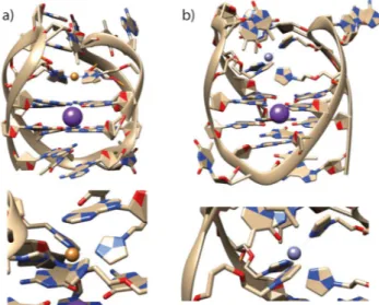 Figure 6. Representative pictures from MD simulations of htelL 2S 4 in complex with a) Cu II and b) Zn II .