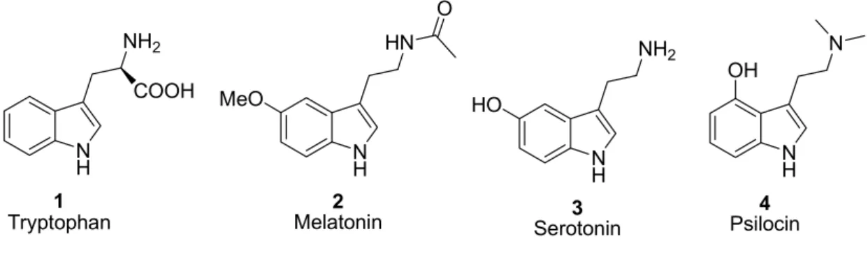 Figure 1. Structures of naturally occurring indoles: tryptophan, melatonin and serotonin 