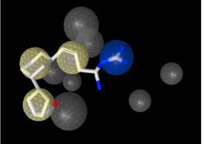 Figure 2.12 Pharmacophore has 3 Hydrophobic regions (cream spheres) and one  positively charged feature (blue sphere) The grey spheres are the exclusion volume  region