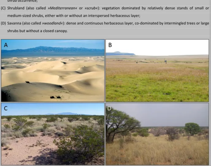 Figure 1.2: Examples of the four dryland biomes. (A) Gobi Desert in Mongolia, (B) Themeda triandra grassland in South  Africa, (C) Creosote shrubland in New Mexico, USA, and (D) Acacia savanna in the Kalahari, South Africa