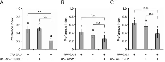 Figure  3.1.4.2  Disturbing  serotonin  expression  in  TPH  dependent  neurons  caused  reduced  ethanol  preference