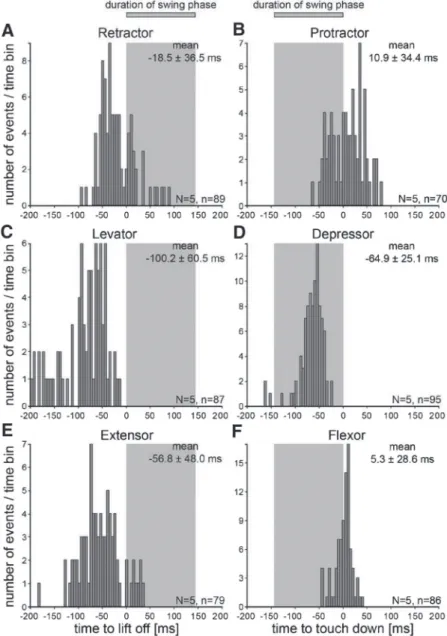 Figure 9 shows mean rectified and smoothed extensor and flexor EMGs from 112 to 125 steps from five different animals for each leg number condition