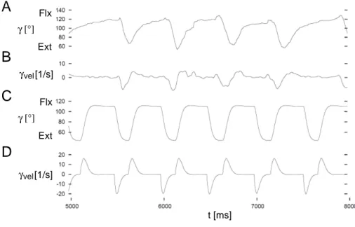 Figure 3.4: A: angle and B: angular velocity of the tibia movement in the experiment; C and D: the corresponding variables in the simulations.