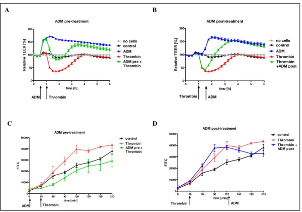 Figure 7  Effects of  ADM  on thrombin-induced hyperpermeability  using different  in vitro- vitro-models