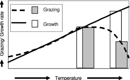 Fig. 1: Descriptive model illustrating the central hypothesis: The development of the gross growth rate  of  a  microbial  prey  community  and  the  grazing  rate  of  a  macrofaunal  consumer  grazer  with  temperature