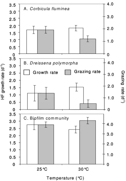 Figure 3: HF growth rates (white bars, means ± SD) and grazing rates (grey bars, means ± SD) for the  mussels Corbicula fluminea (A) and Dreissena polymorpha (B) as well as for biofilm communities (C)  exposed to 25 and 30°C under ambient Rhine confitions 