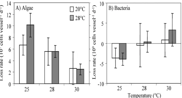 Table  3:  Results  of  two-factorial  ANOVAs  testing  the  effects  of  test  temperature  (25°C,  28°C,  and  30°C) and acclimation temperature (20°C and 28°C) on the loss rates of algae (10 8  cells per vessel      d -1 ) and bacteria (10 10  cells per