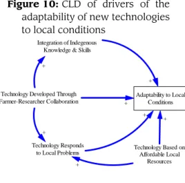 Figure 10: CLD of drivers of the adaptability of new technologies to local conditions