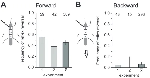 Figure 3.2: Reex reversals in the front leg depend on walking direction. Bar histograms show the frequency of reex reversals in the front leg's tibial muscles during displacement of the front leg fCO in animals that were walking forward (A) and backward (B