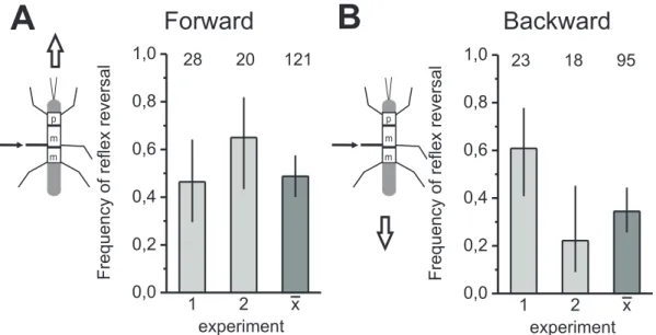 Figure 3.4: Reex reversals in the middle leg do not depend on walking direction. Bar histograms show the frequency of reex reversals in the middle leg tibial muscles during displacement of the middle leg fCO in animals that were walking forward (A) and bac