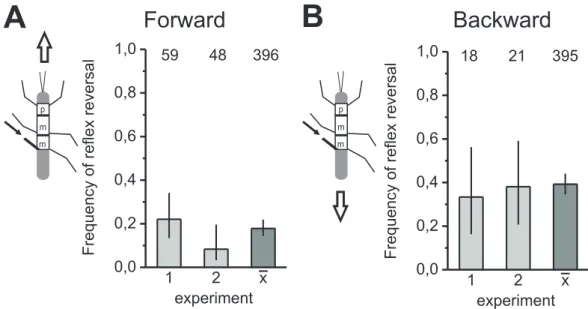 Figure 3.8: Reex reversals in the hind legs xated anteriorly depend on the walking direction